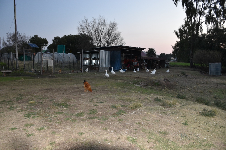 4 Bedroom Property for Sale in Rouxville Free State
